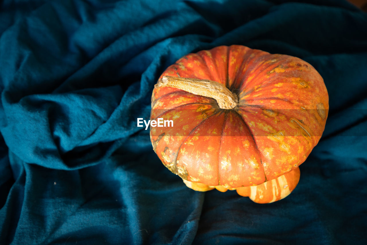 close-up of pumpkin on bed