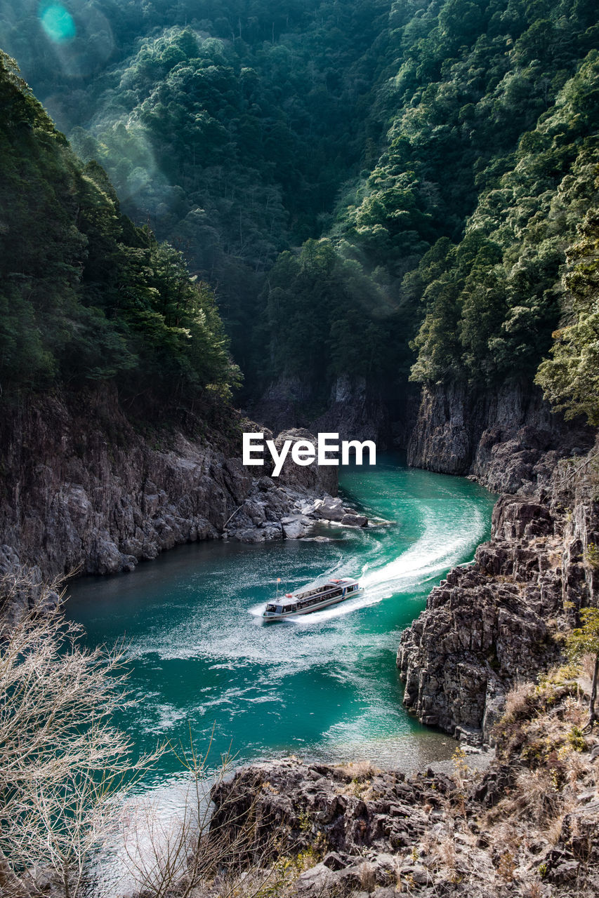 SCENIC VIEW OF RIVER FLOWING IN FOREST