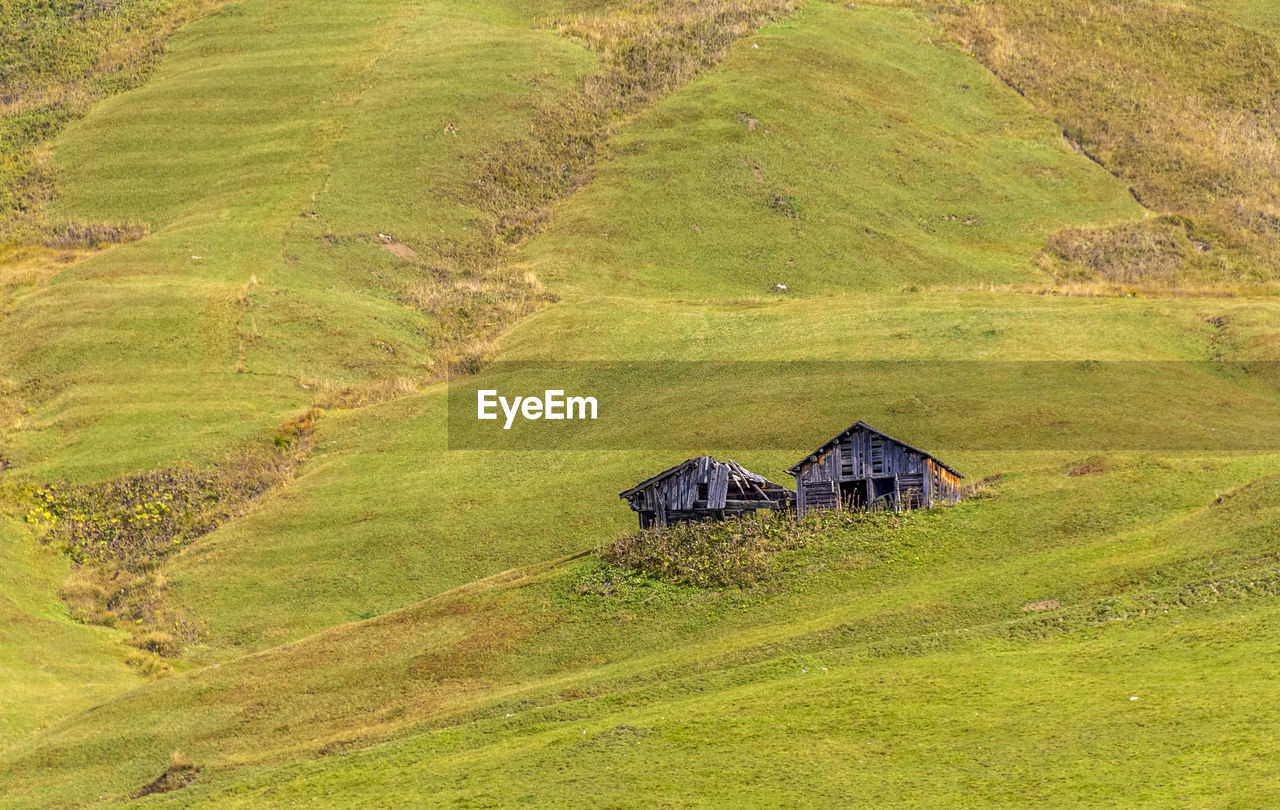 house on grassy field