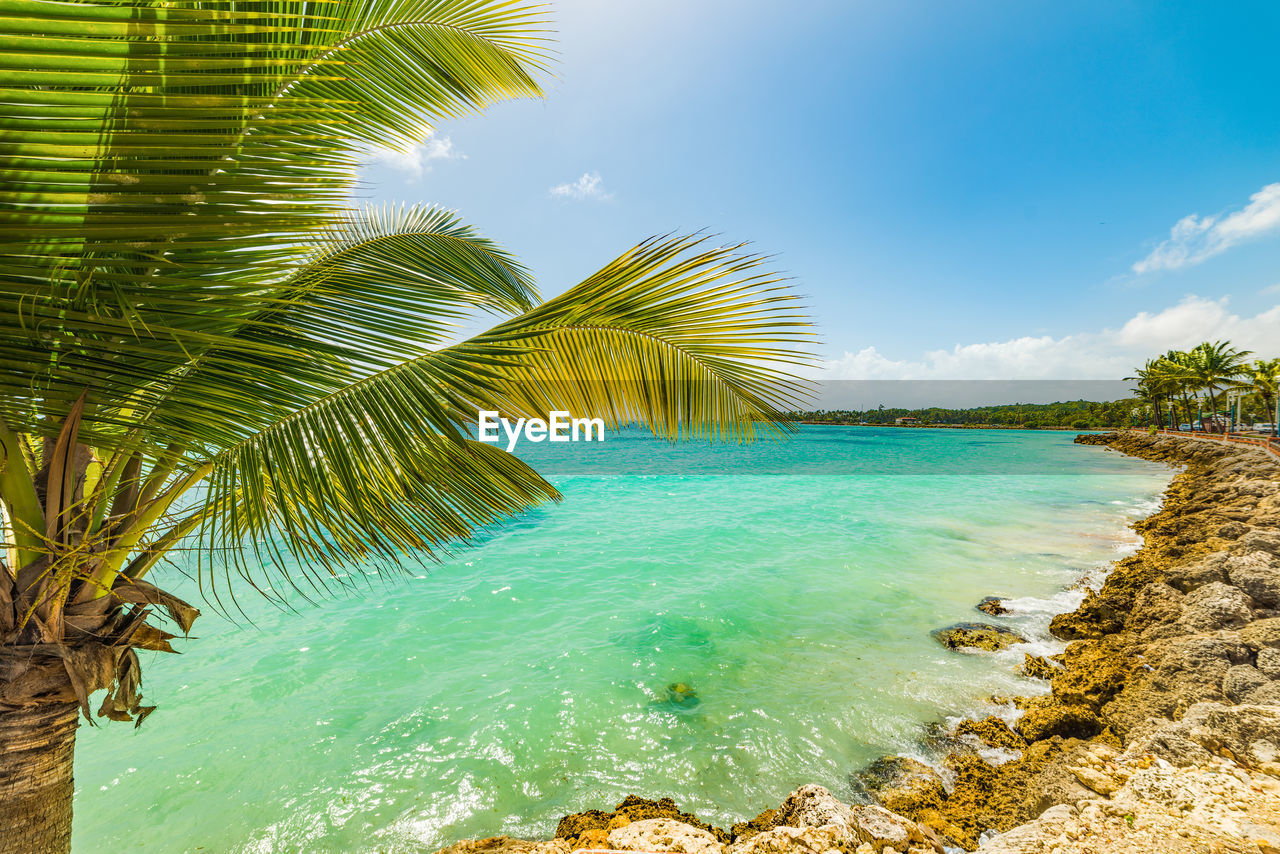 PALM TREES AT BEACH AGAINST SKY