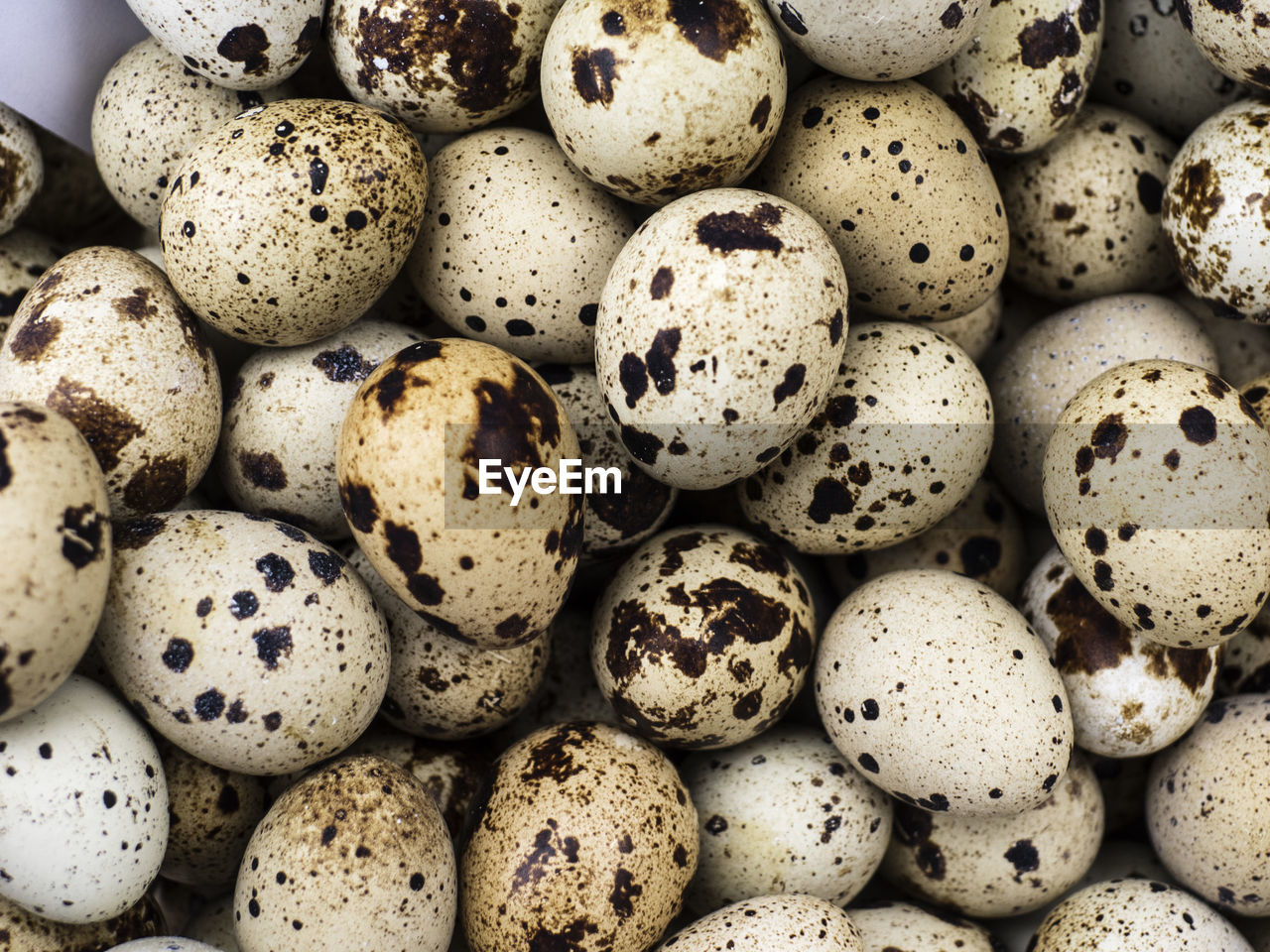 Full frame shot of quail eggs for sale