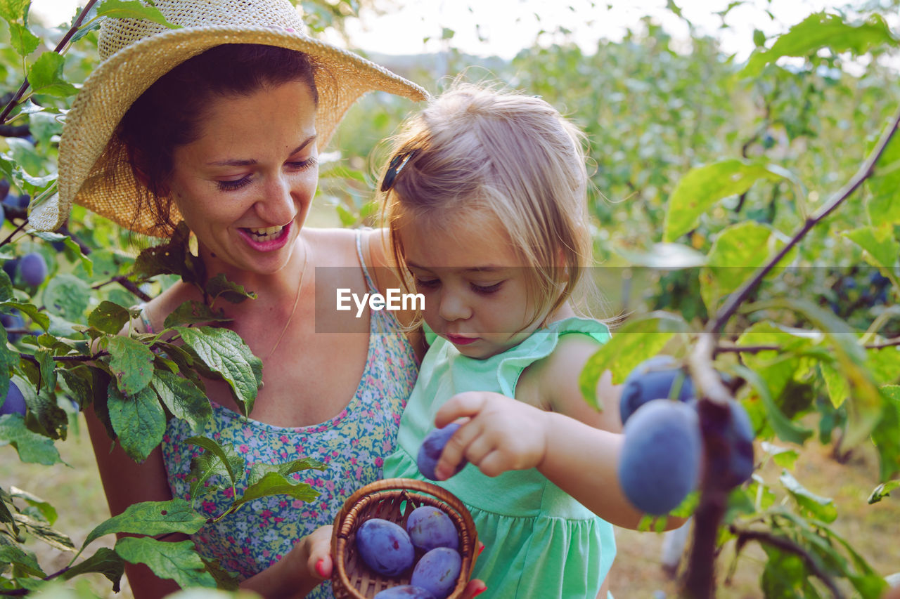 Mother and daughter picking fruits