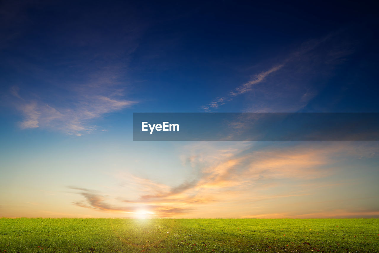 SCENIC VIEW OF GRASSY FIELD AGAINST SKY AT SUNSET