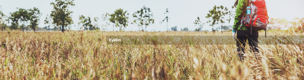 plant, field, landscape, rural scene, land, crop, one person, cereal plant, agriculture, nature, sky, growth, food, environment, adult, day, standing, farm, wheat, food grain, occupation, outdoors, men, tranquility, prairie, beauty in nature, working, clothing, women, summer, grass, corn