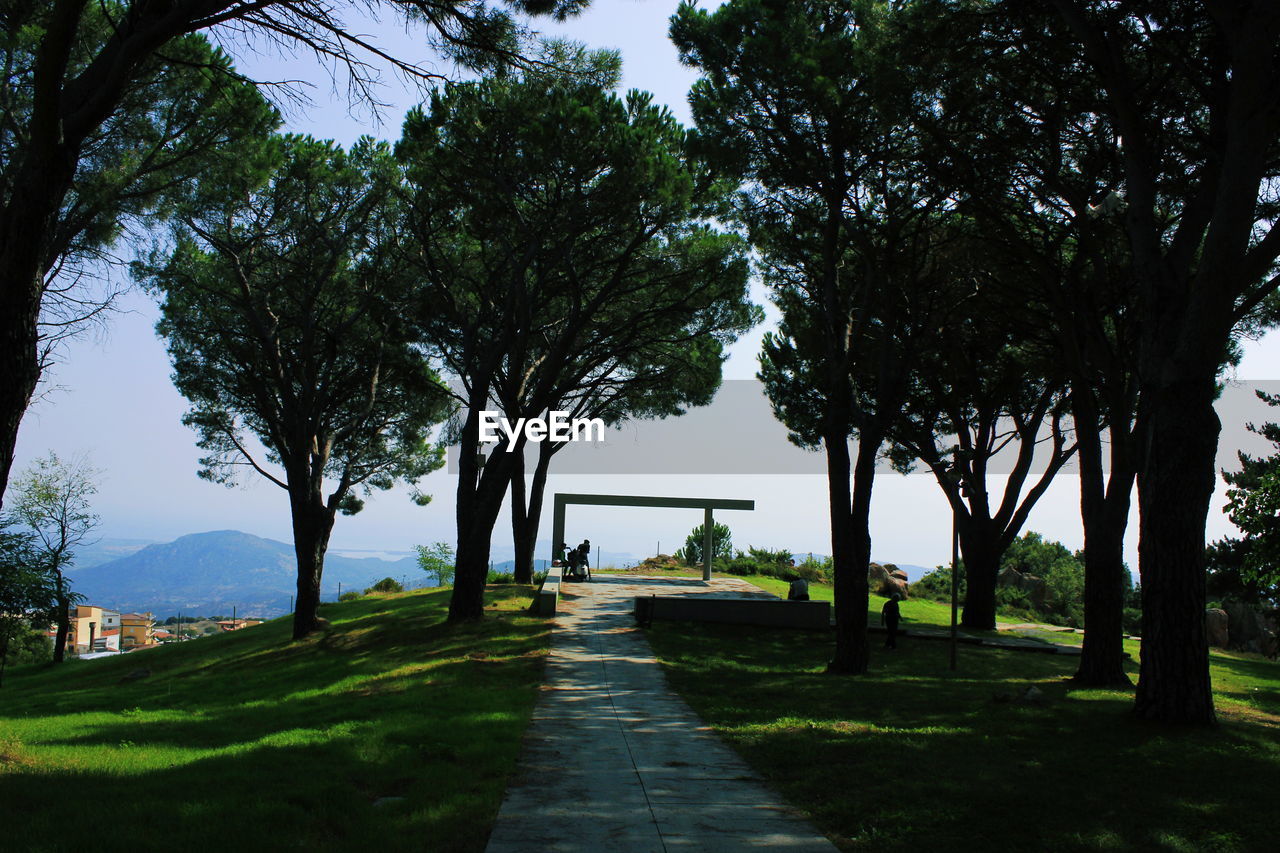 TREES ON FOOTPATH IN PARK