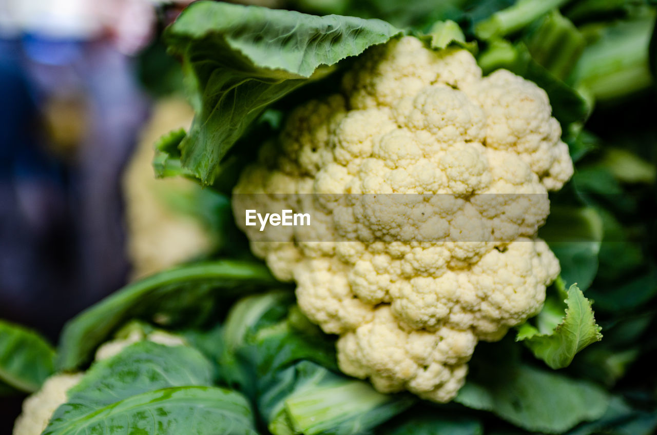 food, food and drink, healthy eating, cauliflower, vegetable, freshness, wellbeing, organic, produce, raw food, market, leaf vegetable, retail, green, agriculture, plant part, leaf, close-up, no people, farmer's market, flower, nature, business, abundance, cabbage, market stall