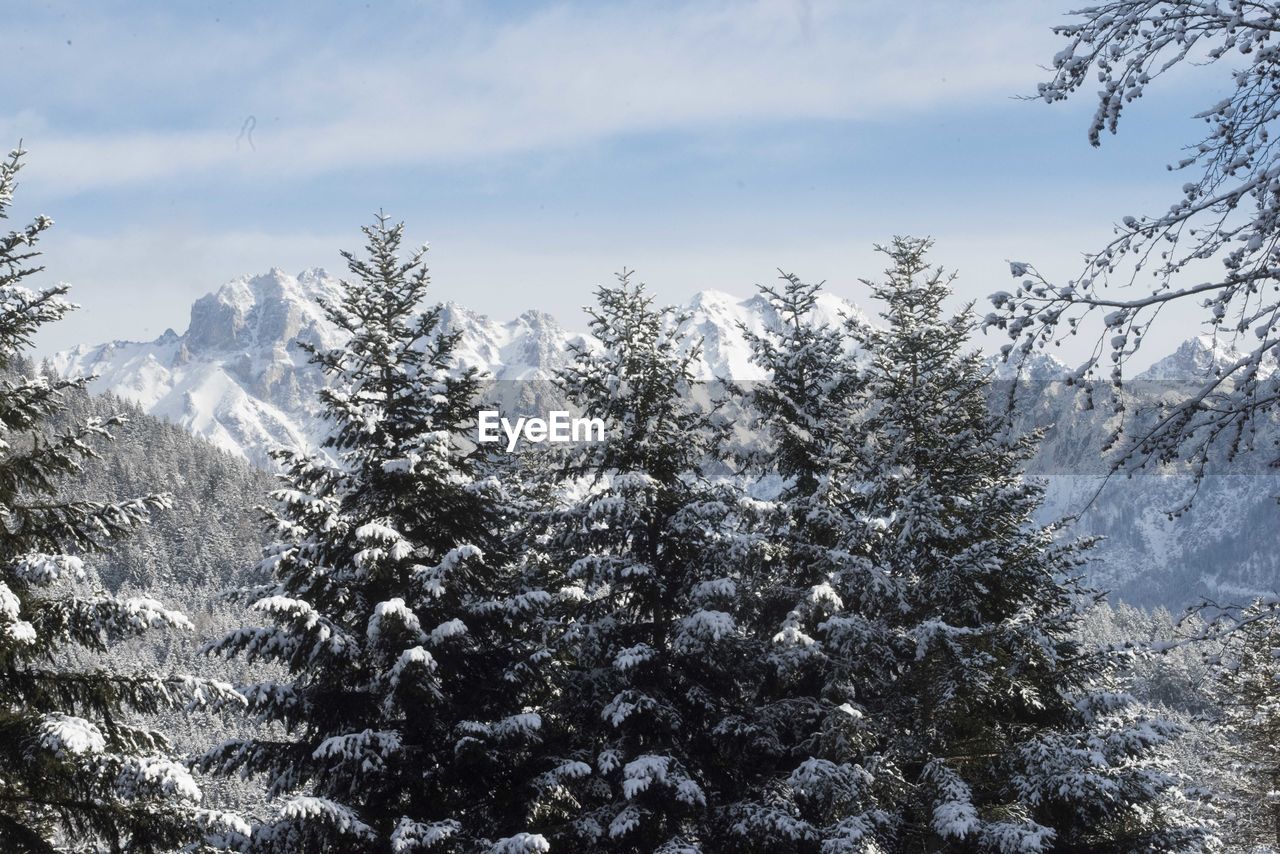 The haller mauern mountain near admont in the austrian alps