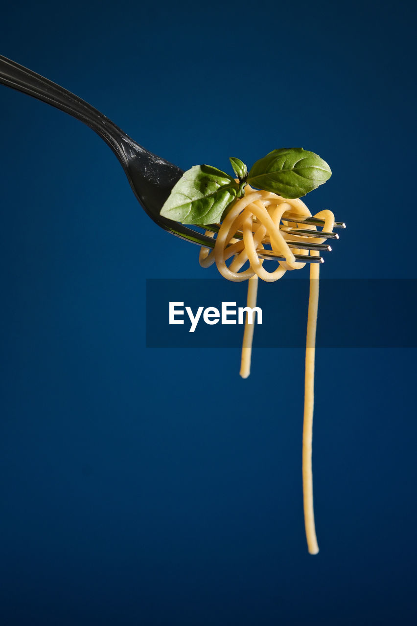 Abstract closeup spaghetti pasta on fork and basil leaf