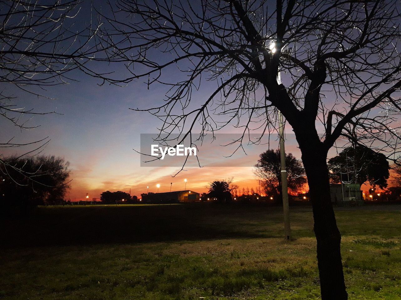 SILHOUETTE TREES ON FIELD AGAINST ORANGE SKY