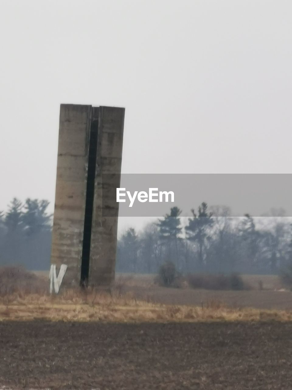 TREES ON FIELD AGAINST SKY IN FOGGY WEATHER