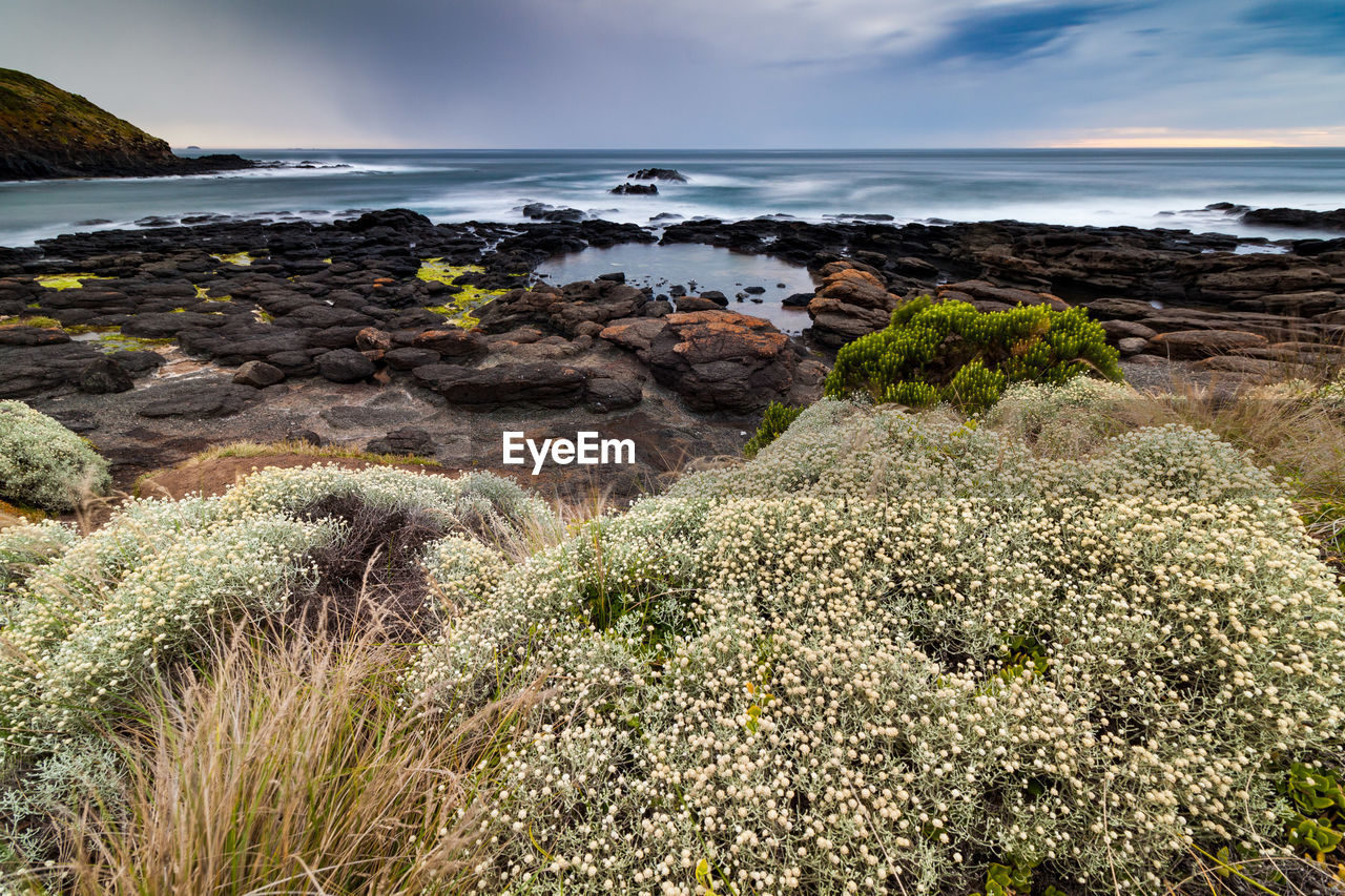 Scenic view of sea shore against sky