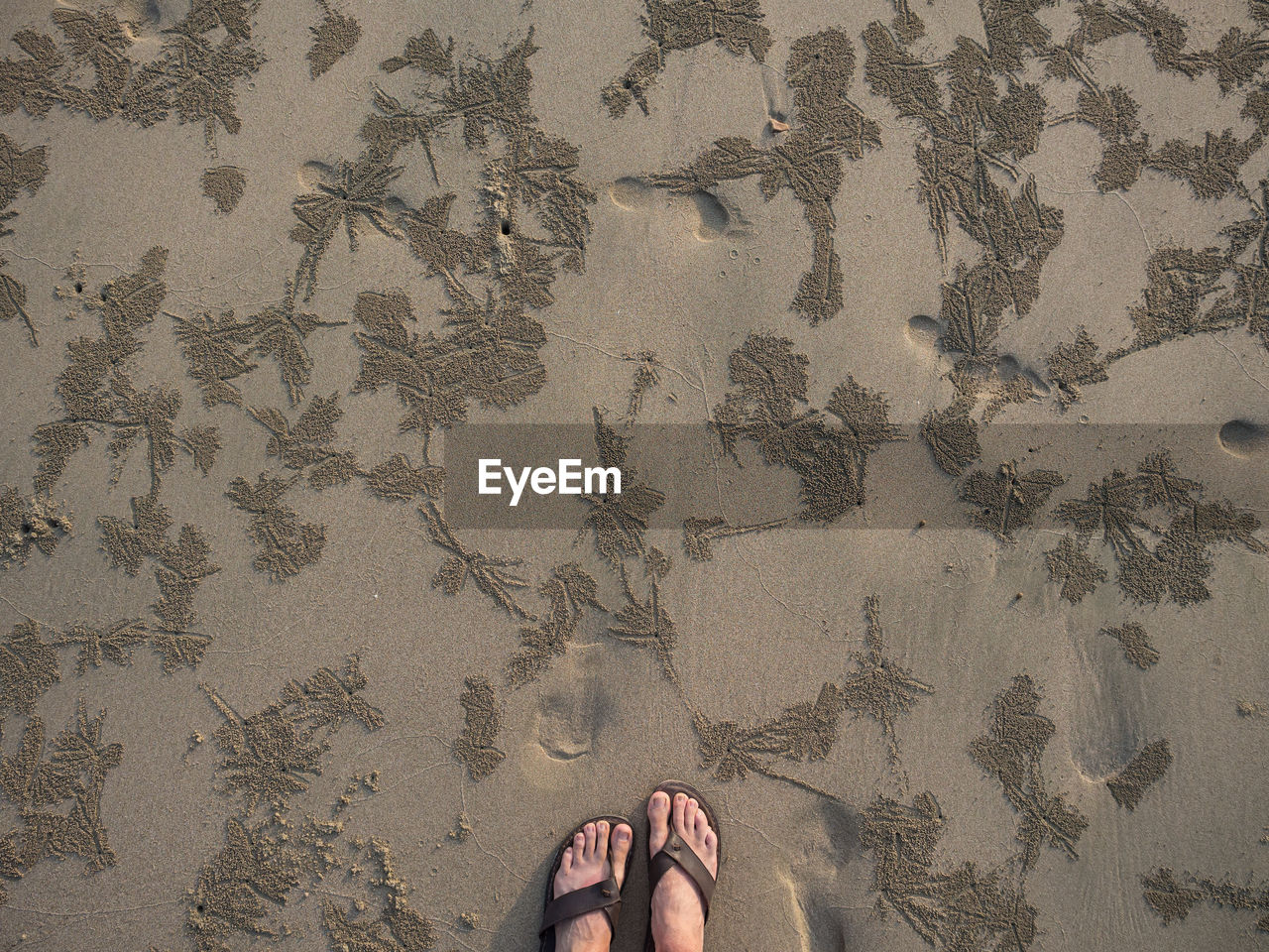 Feet of person standing on beach with sand patterns made by crabs