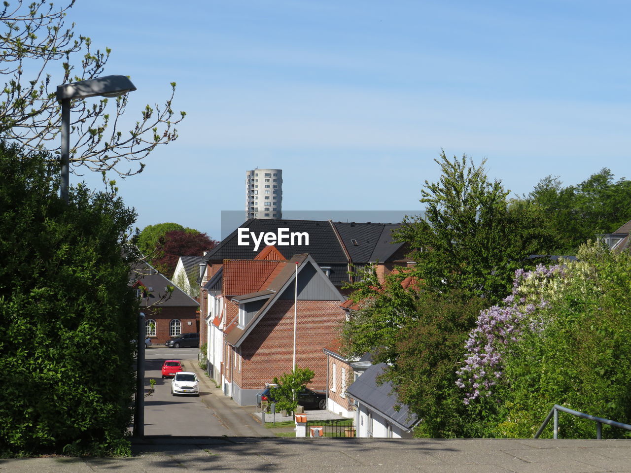 STREET AMIDST HOUSES AND TREES AGAINST SKY