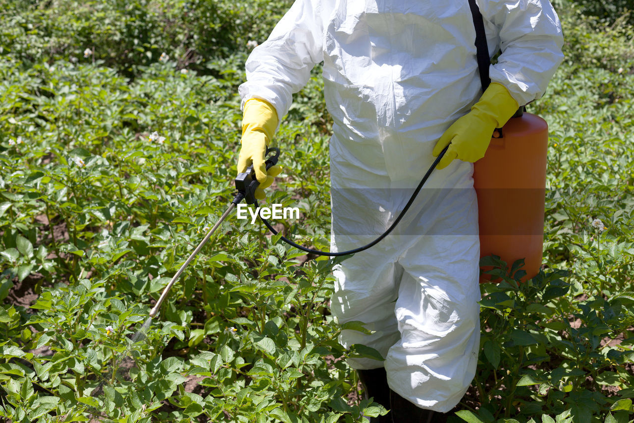 Midsection of man spraying chemical on plants