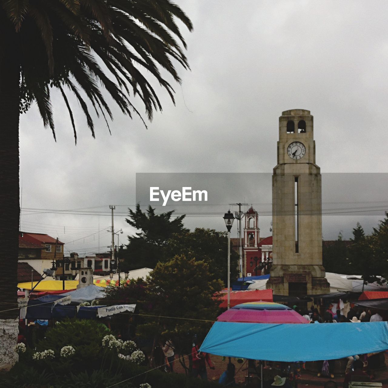 PALM TREES AND BUILDINGS AGAINST CLOUDY SKY