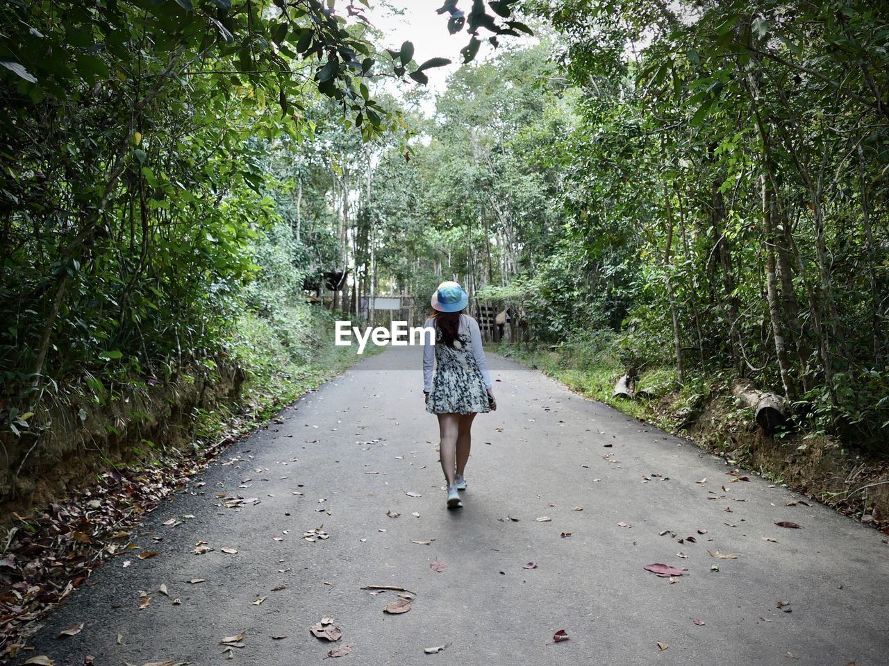 Rear view of woman walking on road amidst trees