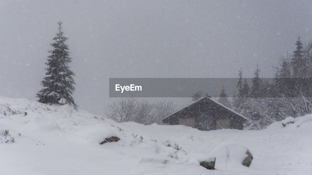 SNOW COVERED LAND AND TREES BY HOUSE