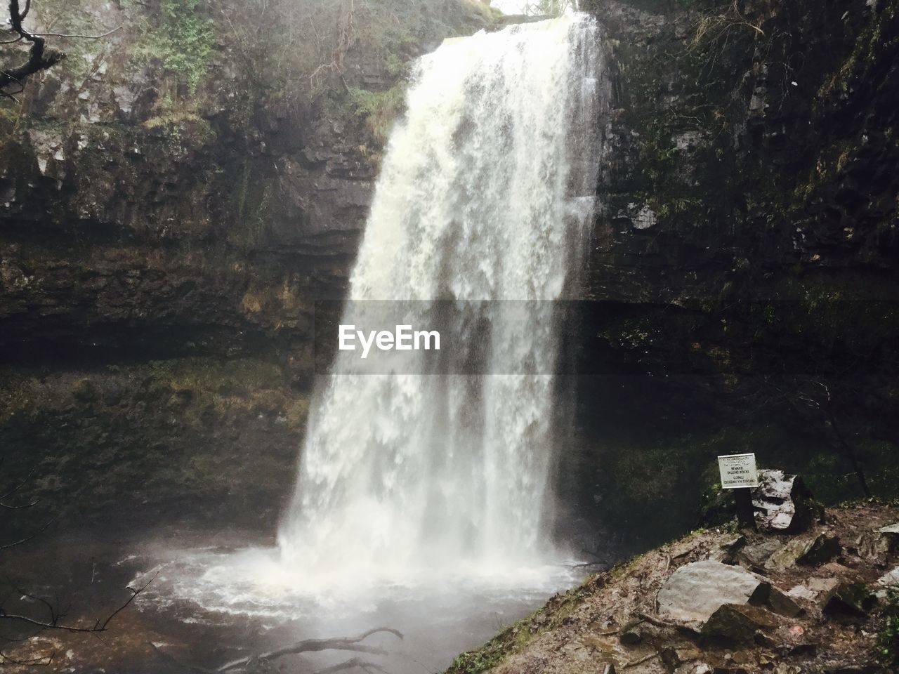 WATERFALL IN FOREST