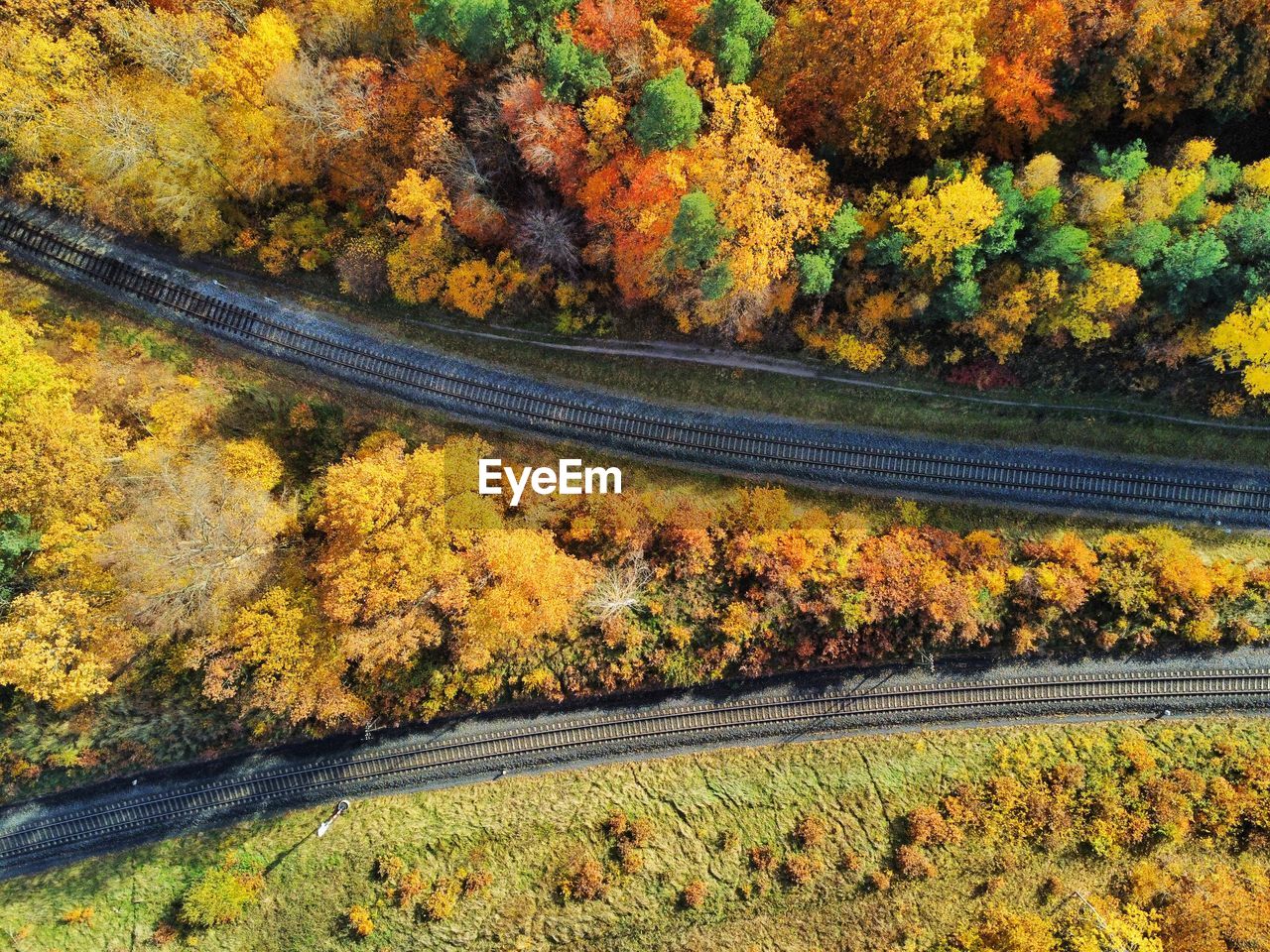 High angle view of road amidst trees during autumn