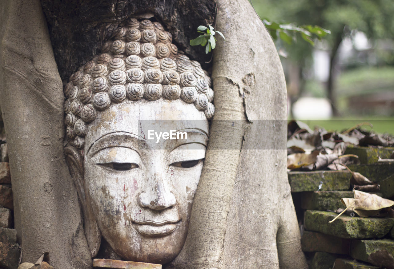 Close-up of buddha statue against trees