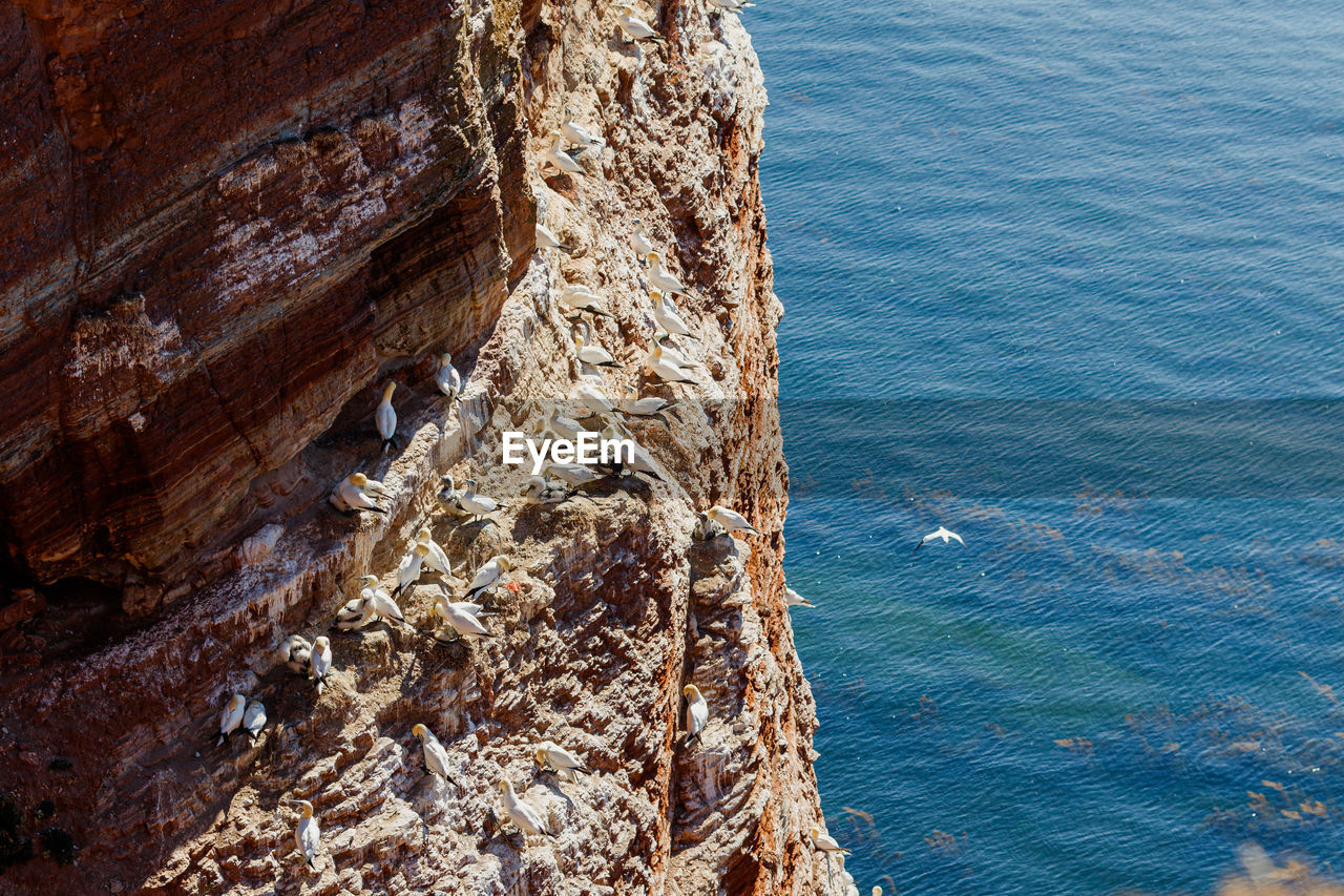 HIGH ANGLE VIEW OF ROCK FORMATIONS ON SEA