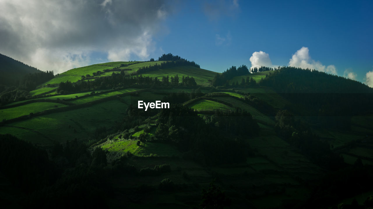 PANORAMIC VIEW OF AGRICULTURAL FIELD