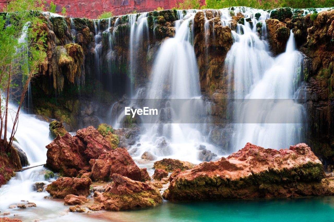 Scenic view of waterfall in forest