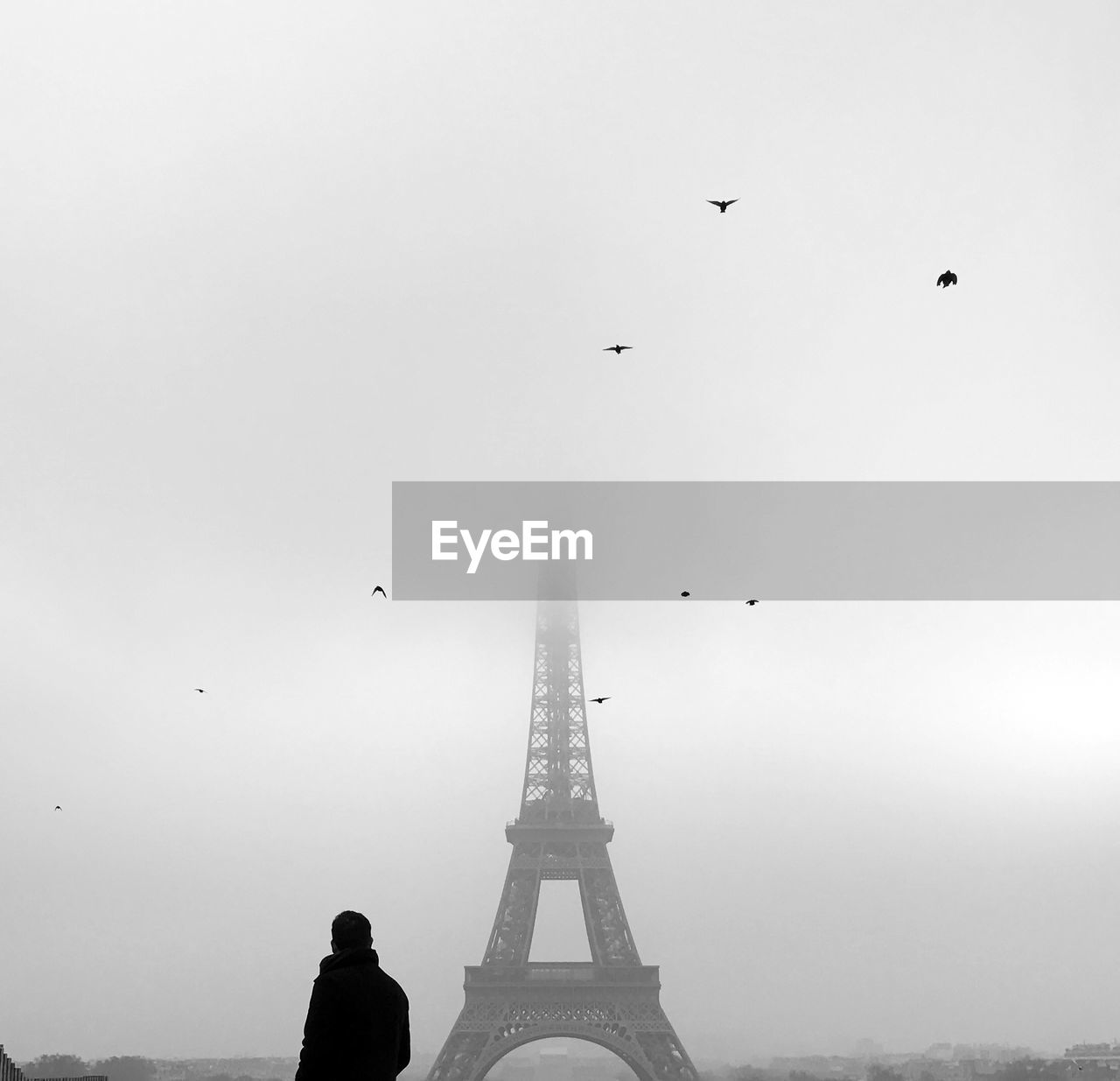 Side view of man looking at eiffel tower during foggy weather