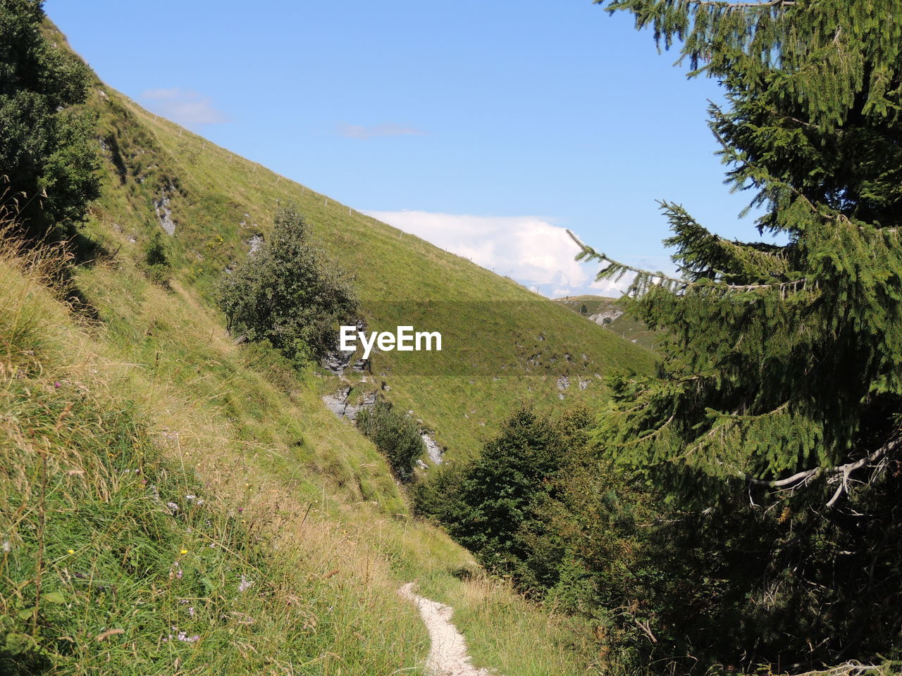 SCENIC VIEW OF LAND AGAINST SKY