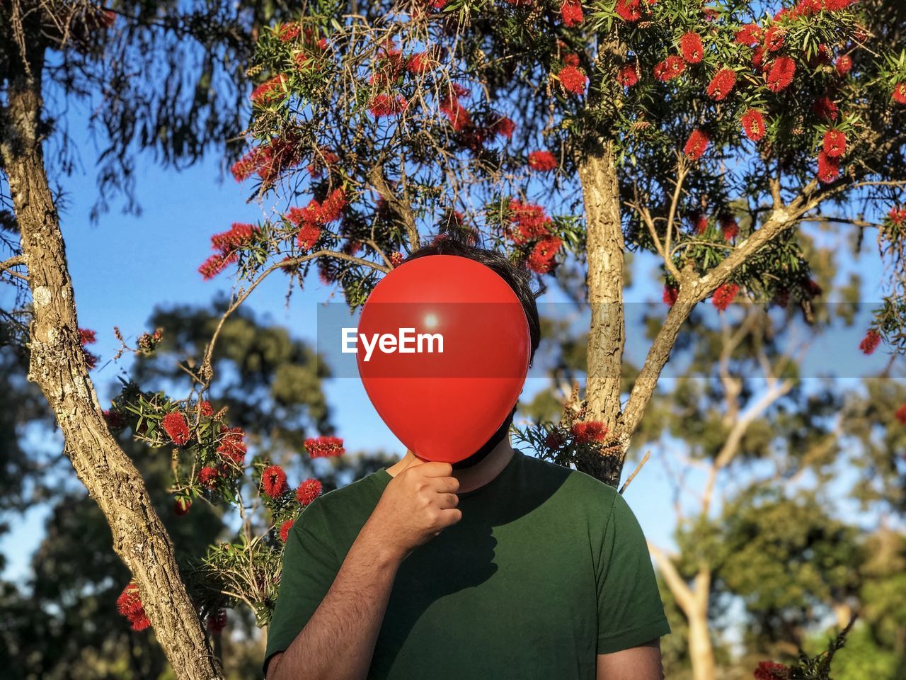 Man holding red balloon against flowering tree.