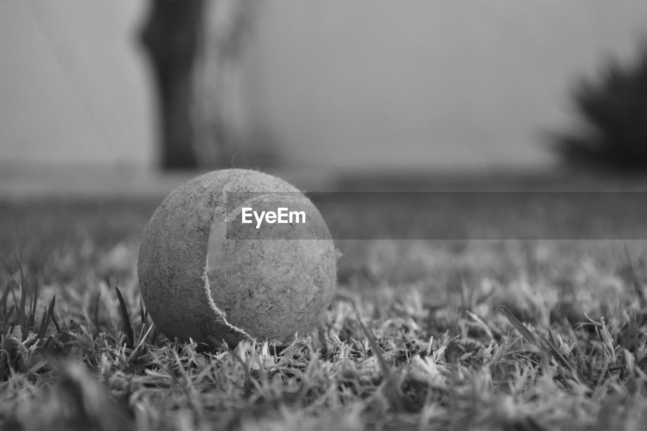 CLOSE-UP OF BALL ON FIELD BY GRASS