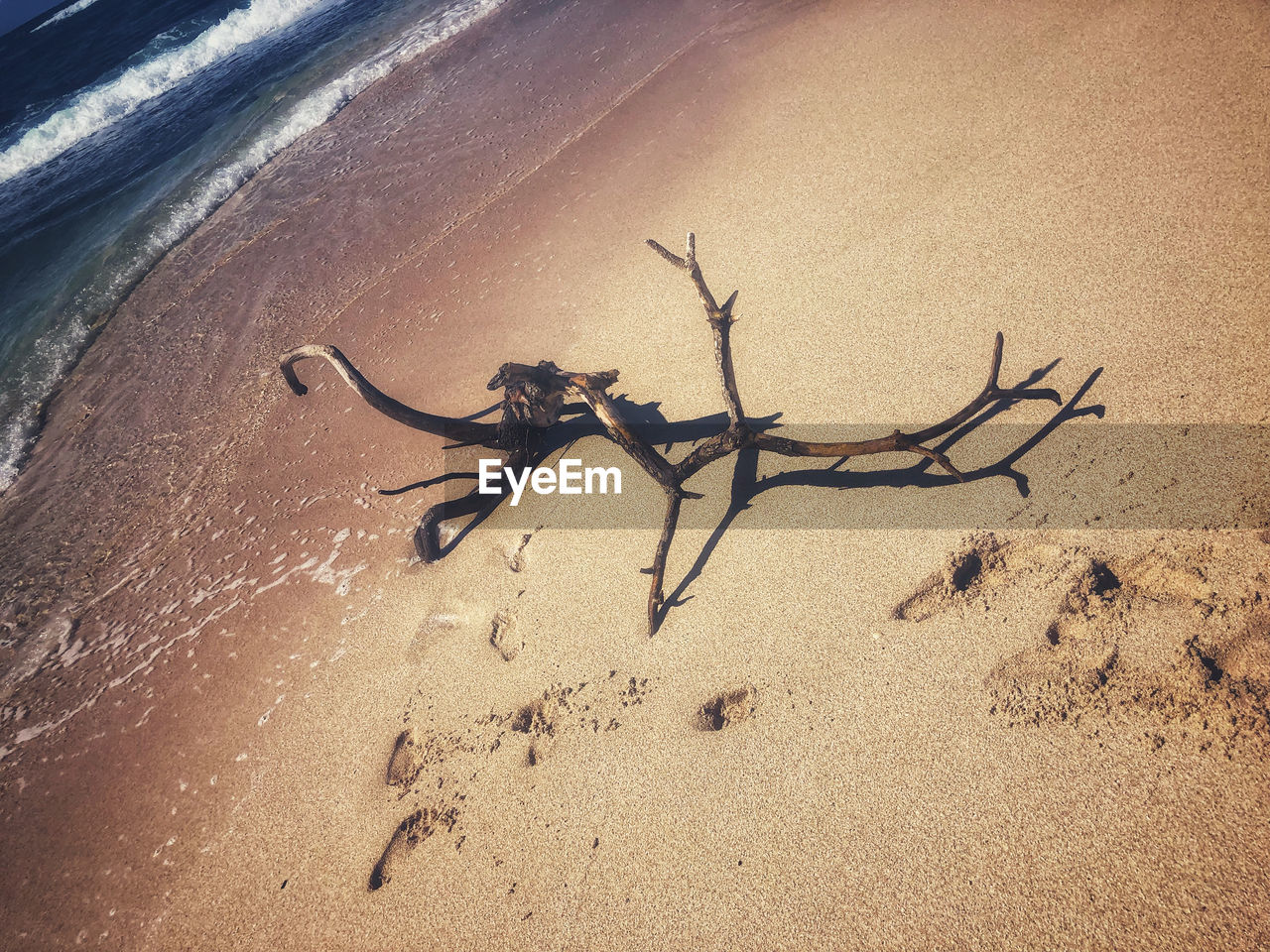 HIGH ANGLE VIEW OF CRAB ON SHORE