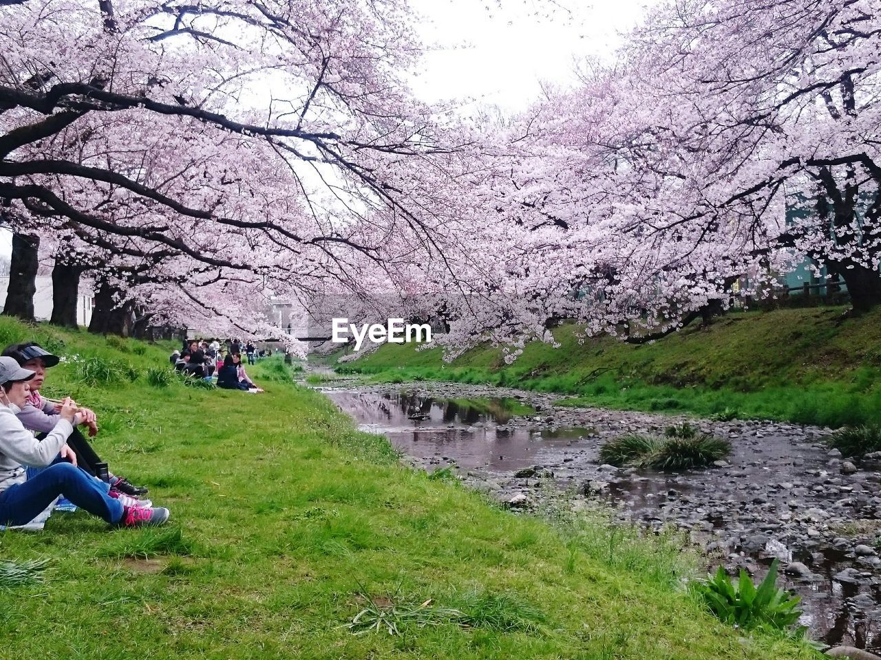 PEOPLE SITTING AT RIVERBANK