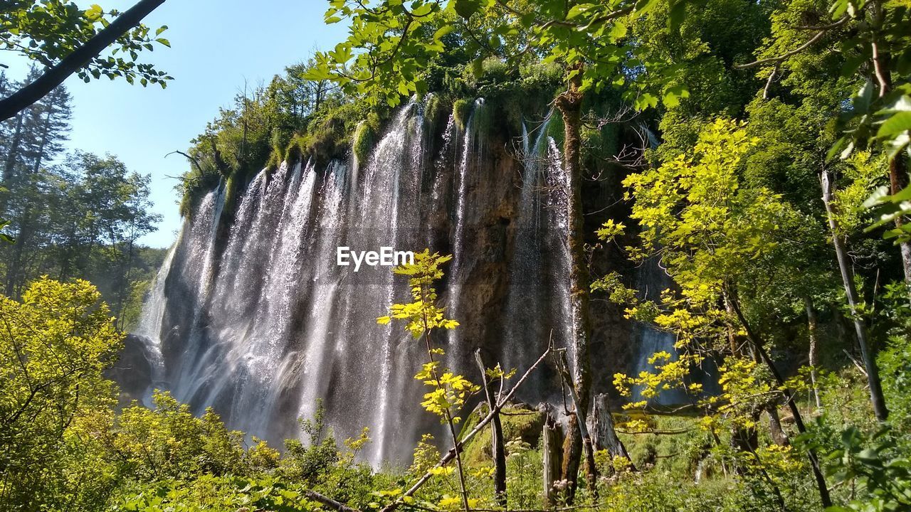 Scenic view of waterfall against trees in forest