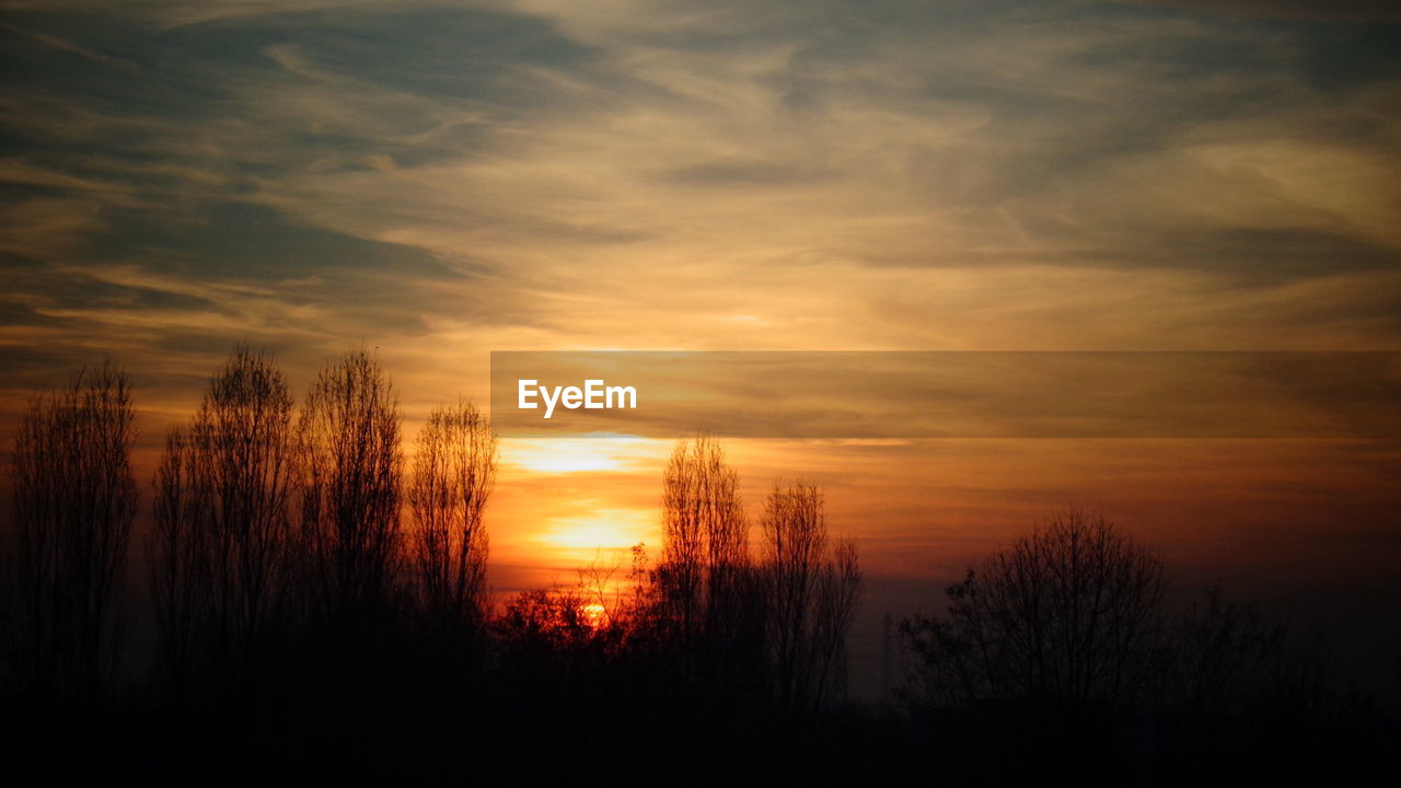 SILHOUETTE TREES AGAINST SUNSET SKY