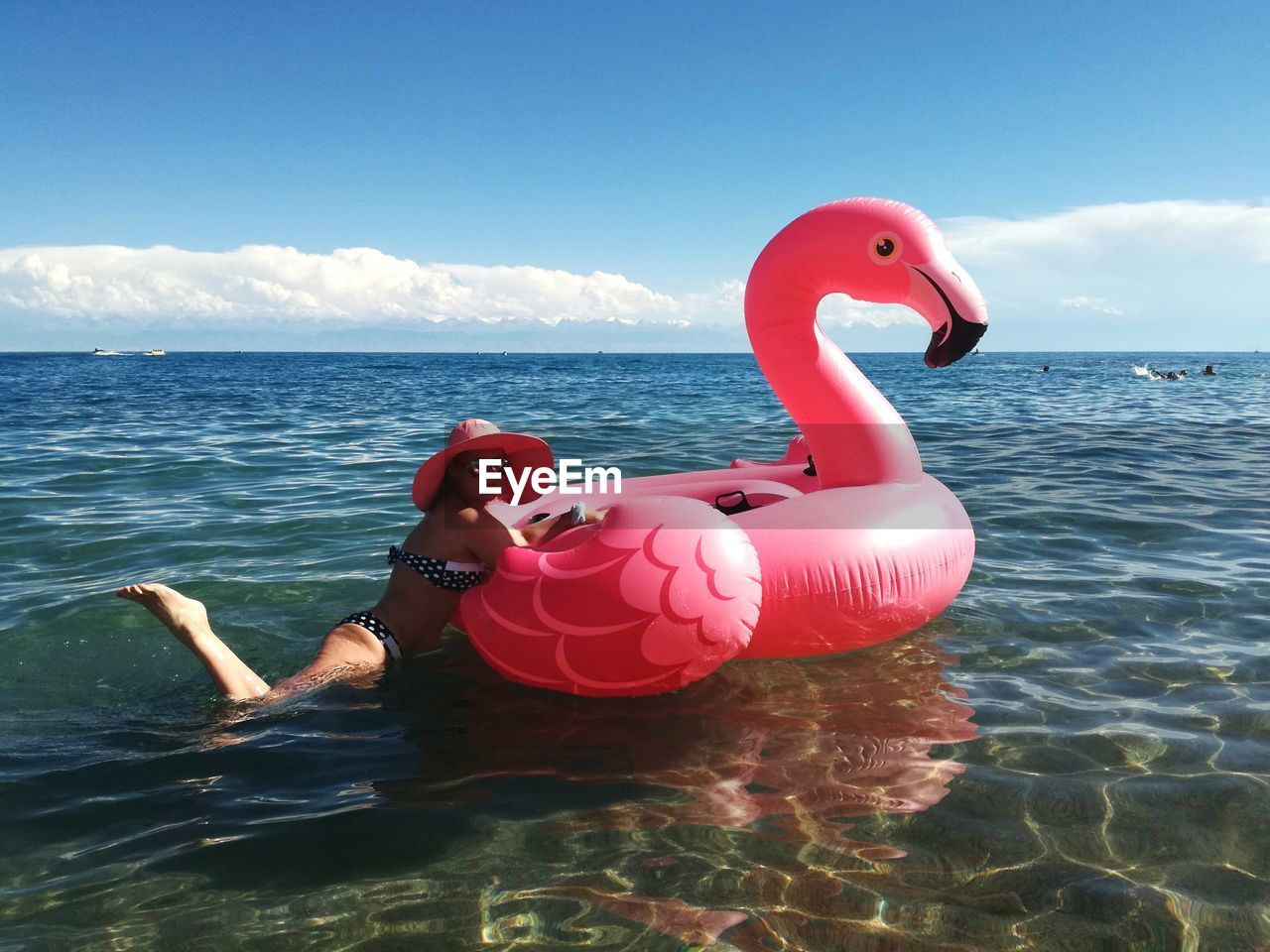 SWAN SWIMMING ON SEA