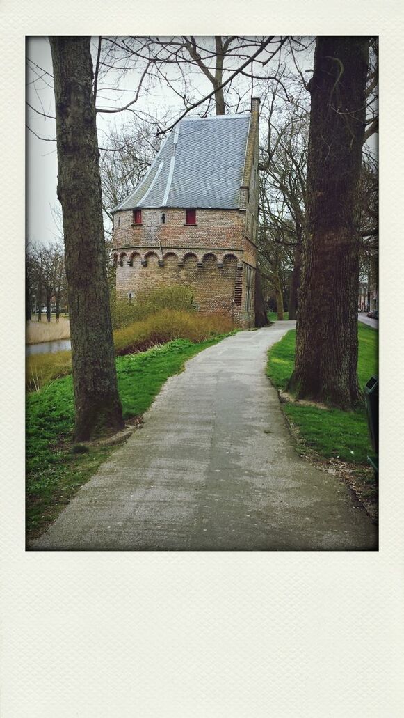 WALKWAY ALONG TREES