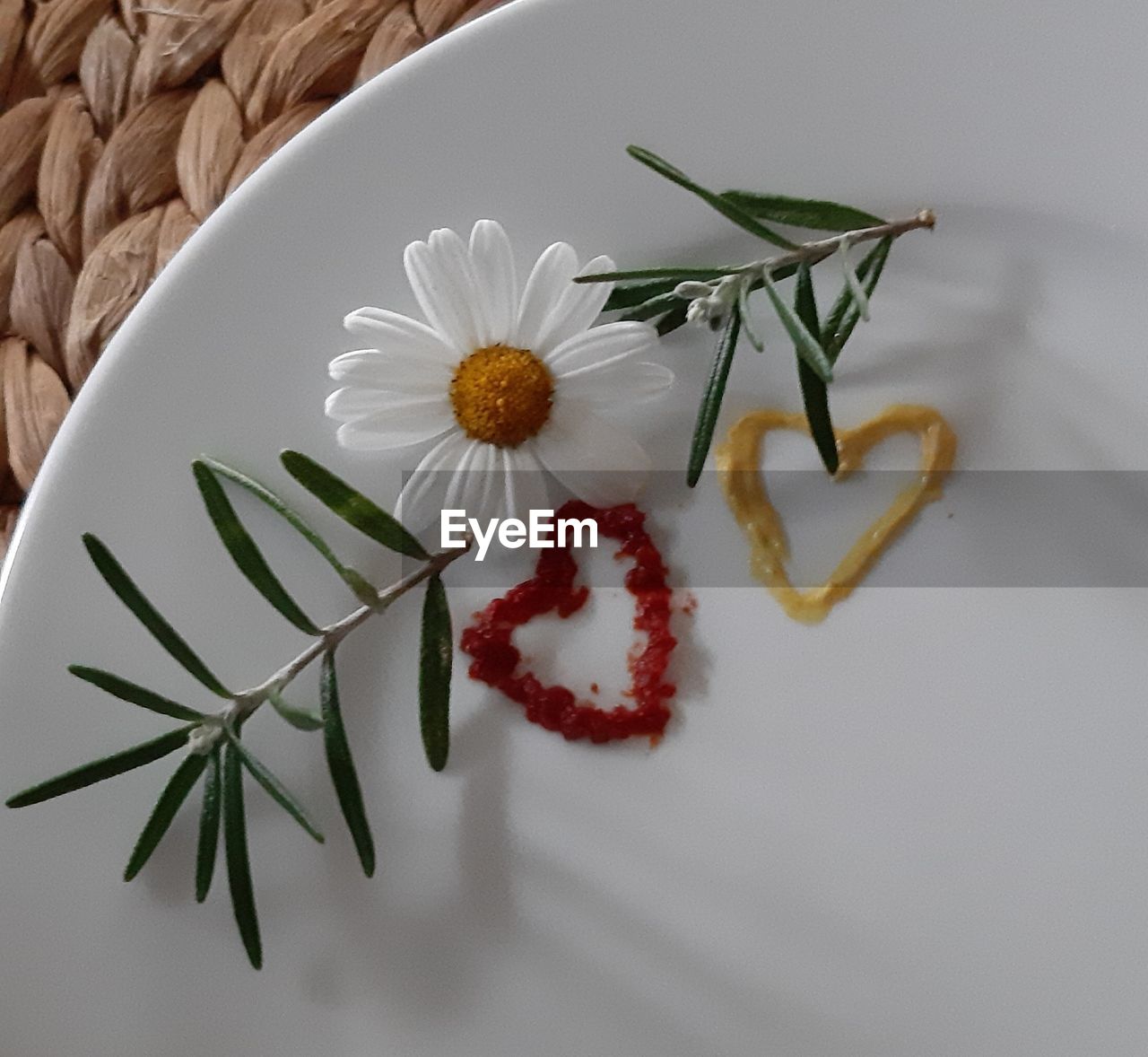 HIGH ANGLE VIEW OF WHITE ROSES ON TABLE