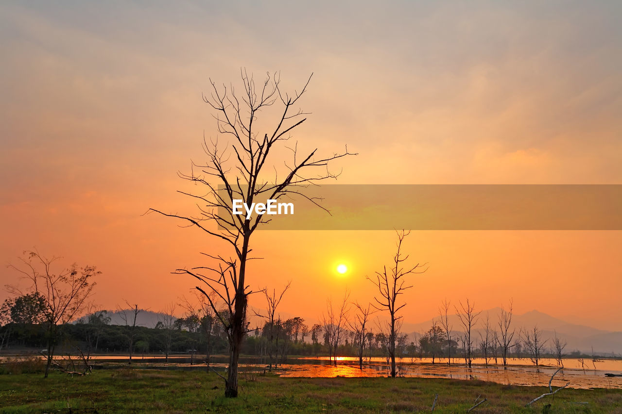 BARE TREES ON FIELD AGAINST SKY AT SUNSET