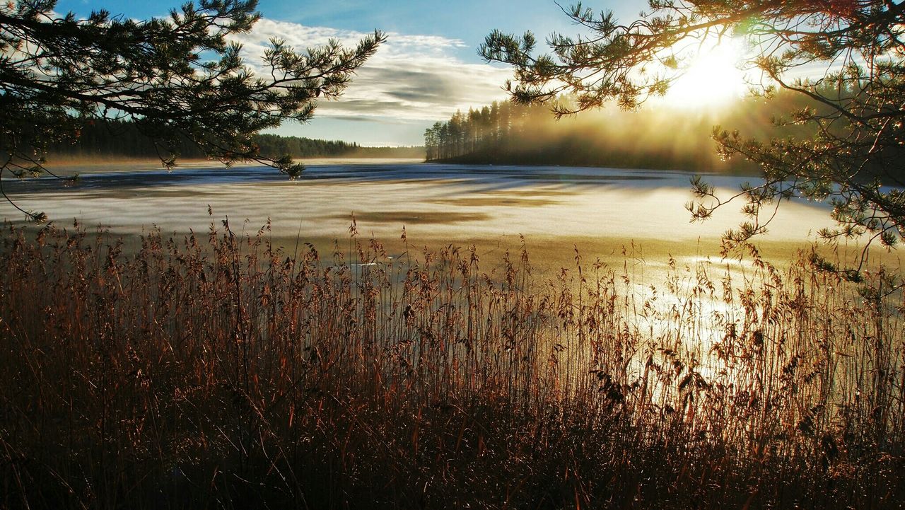 Scenic view of lake during autumn