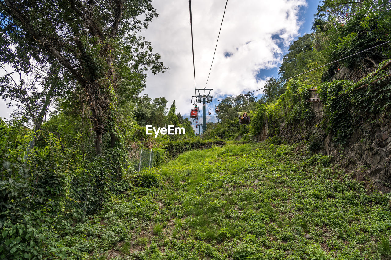 plant, tree, nature, green, sky, growth, land, cloud, beauty in nature, day, forest, cable, scenics - nature, outdoors, grass, transportation, travel, landscape, environment, non-urban scene, trail, natural environment, tranquility, tranquil scene, mountain, one person, flower, leisure activity, architecture