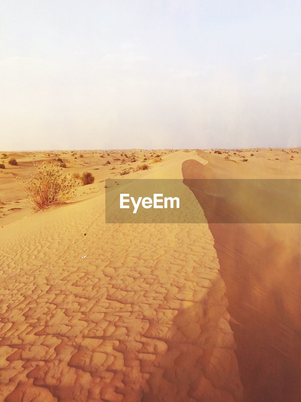 Sand dunes in desert against sky
