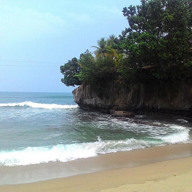 SCENIC VIEW OF SEA WITH TREES IN BACKGROUND