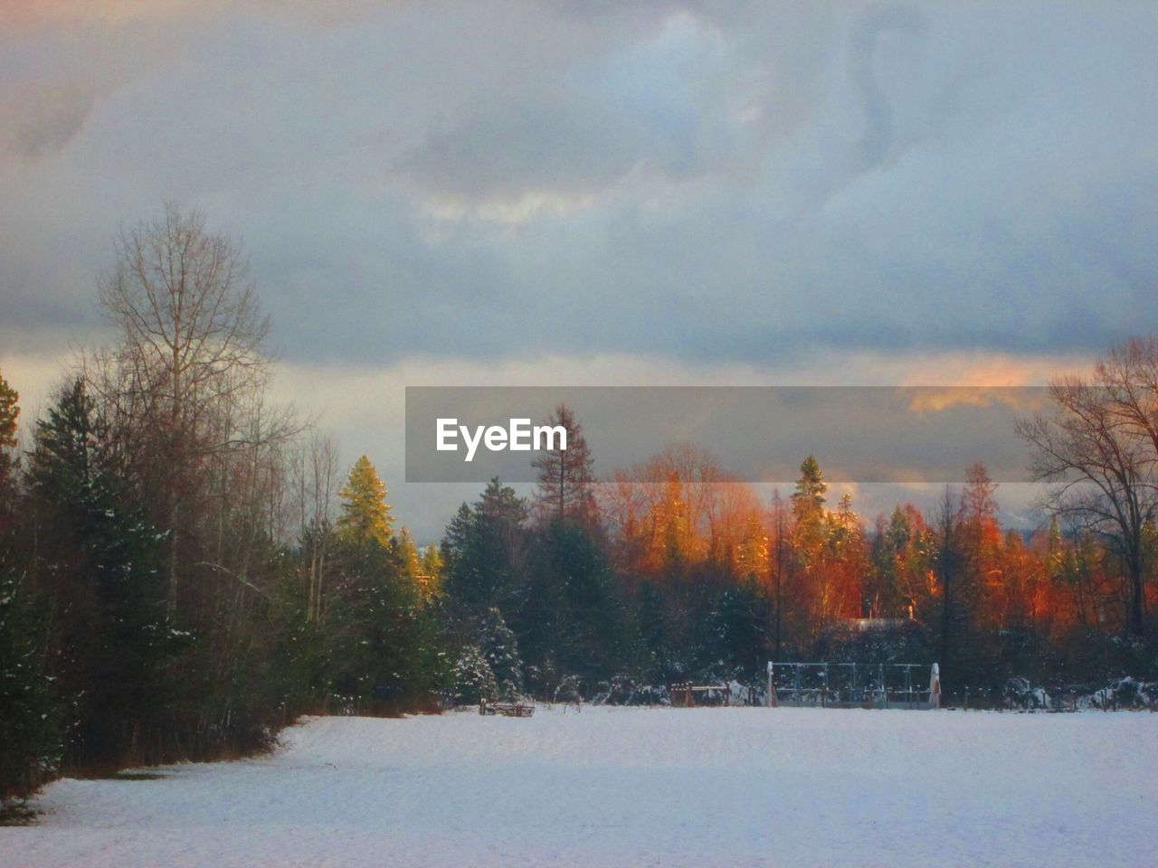 Snow covered field against cloudy sky at sunset