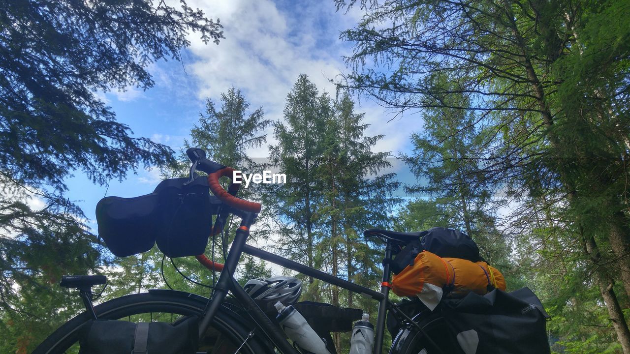 Low angle view of luggage on bicycle in forest against sky