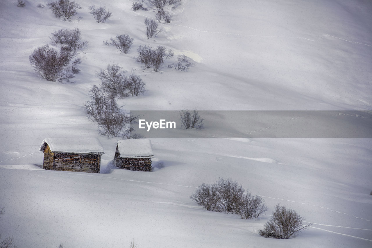 Scenic view of snow covered field