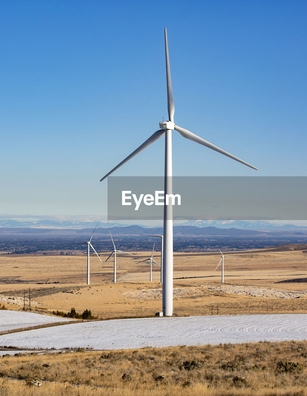 Wind turbines in a field with clear sky