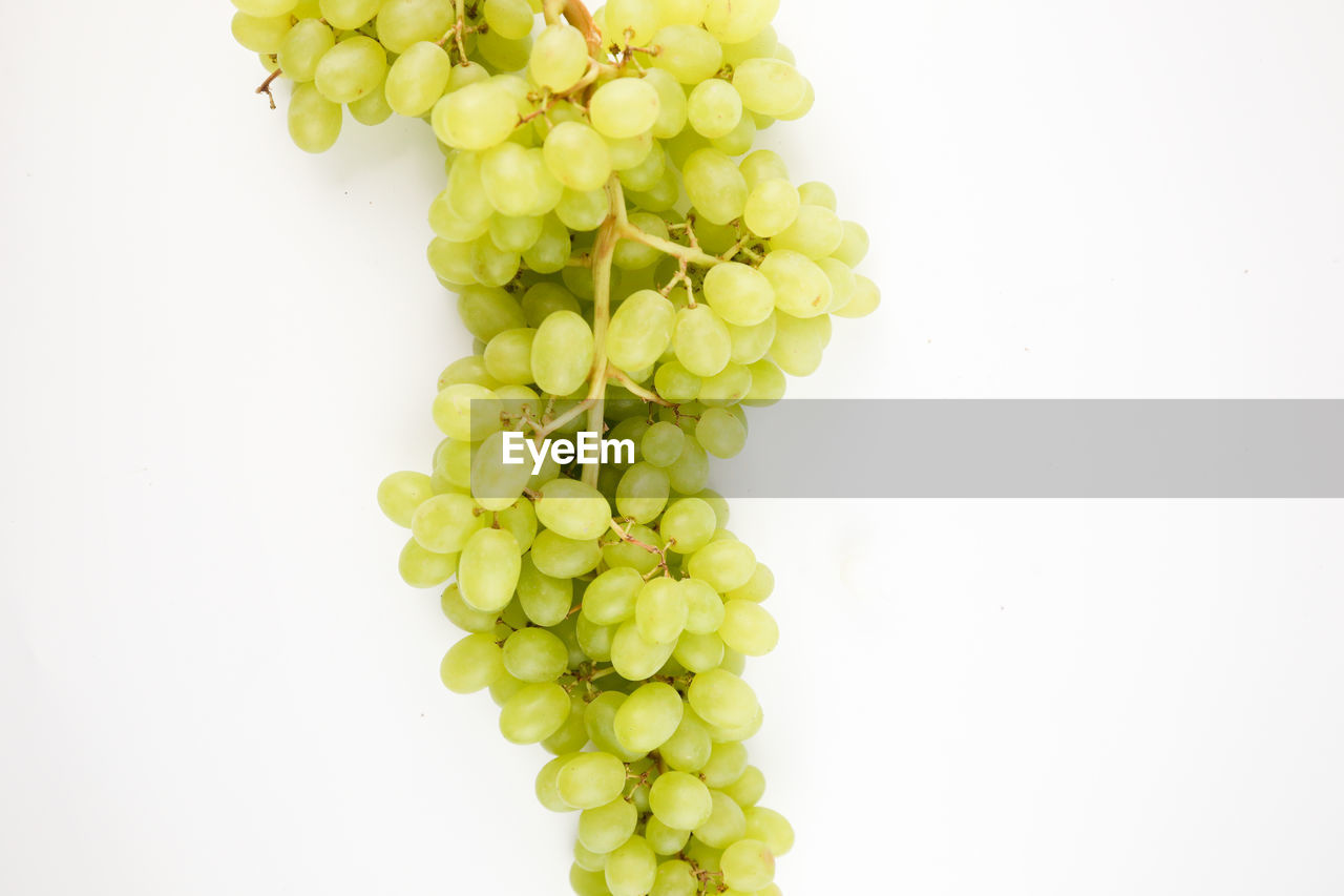 CLOSE-UP OF GRAPES AGAINST WHITE WALL