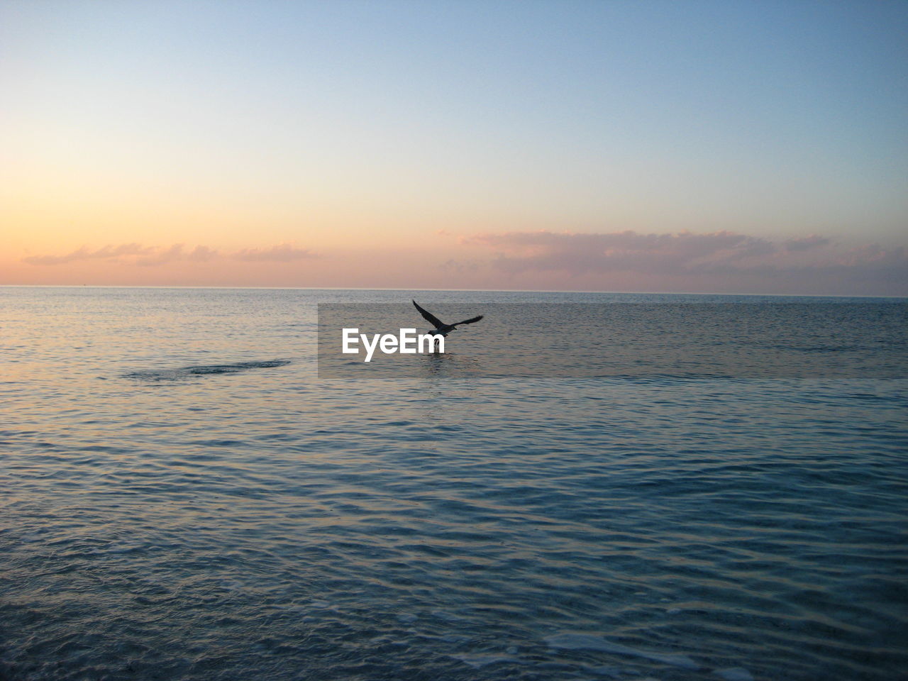 SCENIC VIEW OF SEA AGAINST CLEAR SKY AT SUNSET