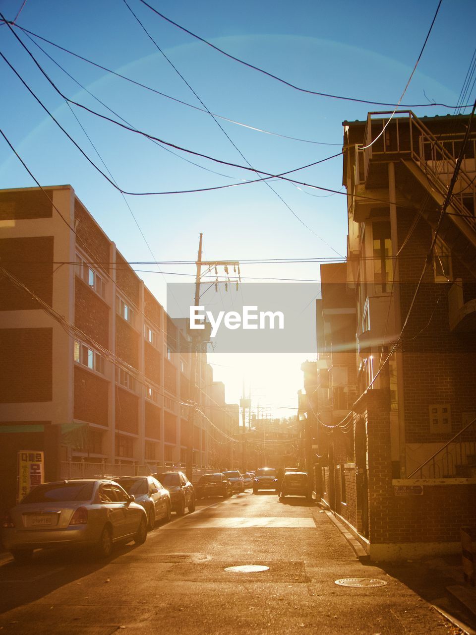 EMPTY ROAD AMIDST BUILDINGS IN CITY